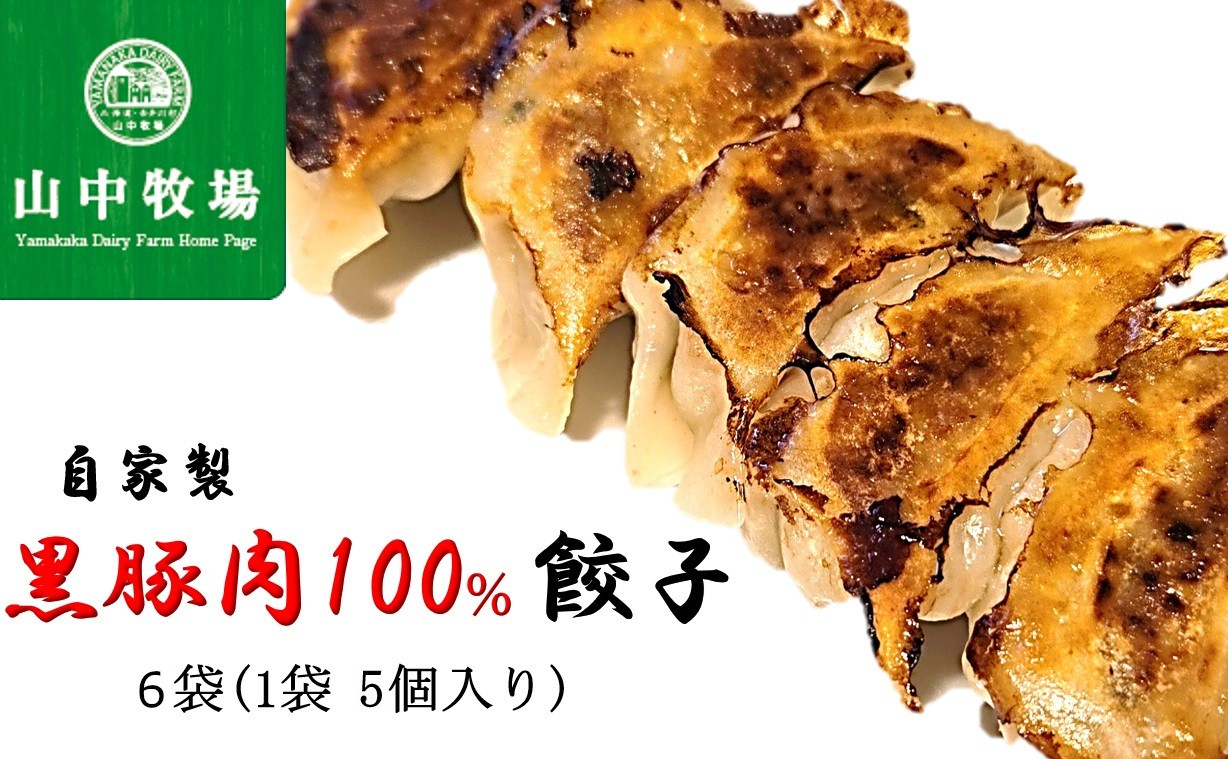 
            自家製黒豚肉１００％餃子（山中牧場：北海道赤井川村）６袋（１袋５個入り）
          