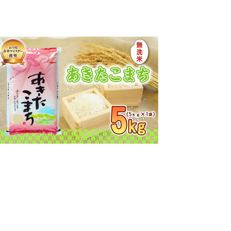 佐々木米穀店 米 五つ星お米マイスター推奨 あきたこまち 無洗米 5kg 岩手 盛岡市産 お米 白米 精米 ご飯 ブランド米 新米 令和6年産 産地直送 送料無料 コメ こめ おこめ 令和6年 2024年 岩手県 盛岡 盛岡市