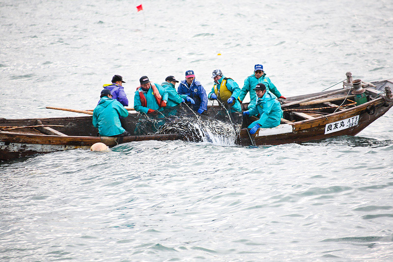 西京漬（魚種おまかせ）3パックセット 赤魚 ホッケ 銀タラ サバ 魚種おまかせ 西京みそ 西京漬 食卓 おかず 鈴木水産 秋田県 八峰町