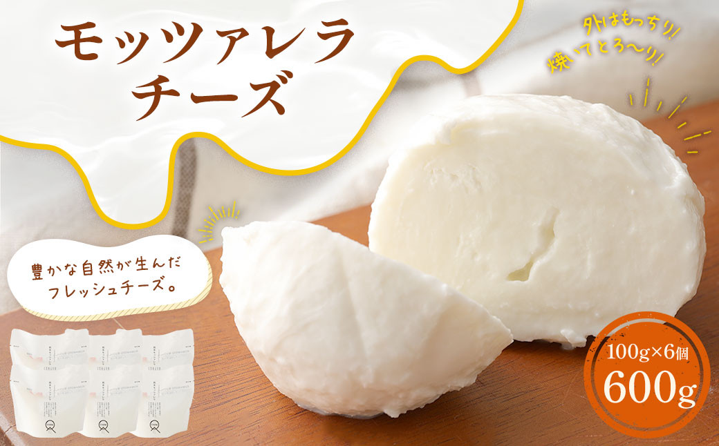 
KUMAMOTOモッツァレラ 100g×6個 セット 合計600g チーズ モッツァレラチーズ フレッシュチーズ トッピング おつまみ 乳製品 冷蔵
