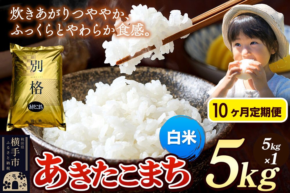 《令和7年産》《定期便10ヶ月》 米 あきたこまち 5kg 【白米】 秋田県産 [米 コメ 白米 あきたこまち おいしい 美味しい]