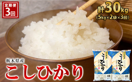 【3ヶ月定期便】【令和5年産】栃木県産こしひかり（精米・5kg×2袋） ※着日指定不可 ※離島への配送不可