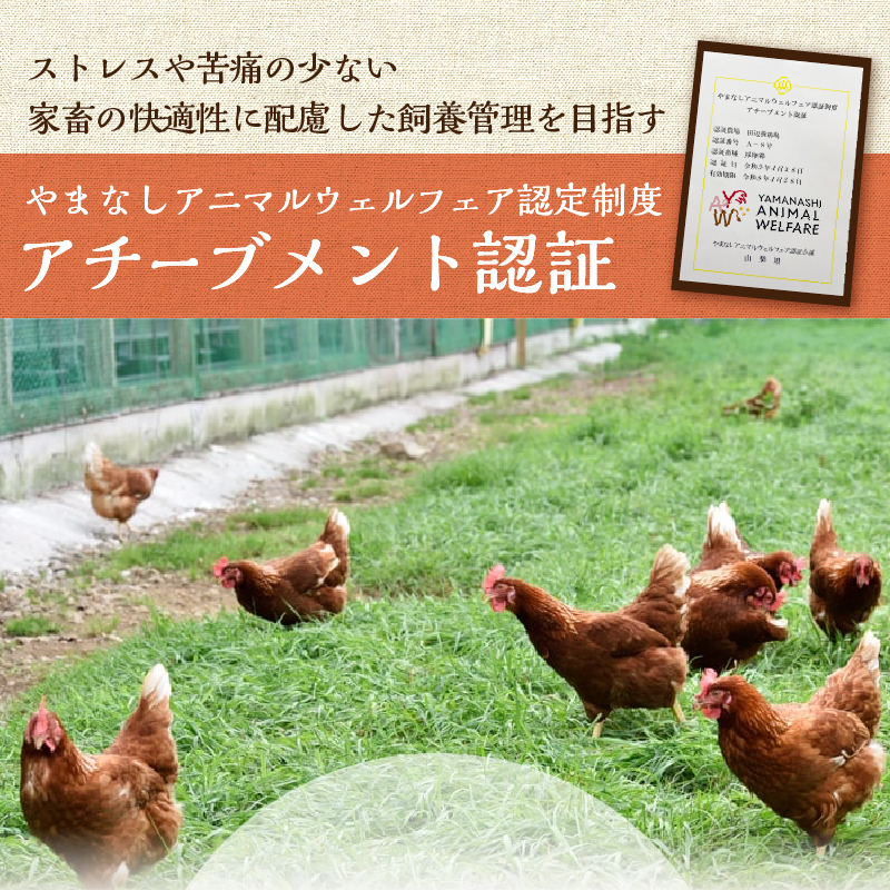 【3ヶ月定期便】忍野の平飼い放牧卵30個（25個＋割れ保証5個）