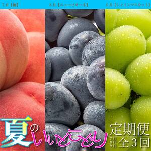 夏のいいとこどり定期便【全3回】《桃からスタート》 果物 桃 ぶどう フルーツ 果汁 甘い 濃厚 風味 種なし マスカット ジューシー 人気 セット 詰合せ FAH-0064