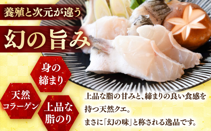 クエ鍋用クエパック500g×2 五島市/金沢鮮魚 クエ くえ 鍋 お鍋 冬 高級 贅沢 [PEP024]