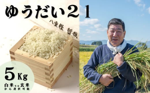 【予約受付！令和7年産 新米 】  九代目 八重樫哲哉 作 ゆうだい21 5㎏ 岩手県 北上市 G0209　米 白米 精米 新米 玄米 2025年産 2025年 R7年 令和7年 新米 やえがしてつや 八重樫哲哉 農家直送 生産者直送 直送