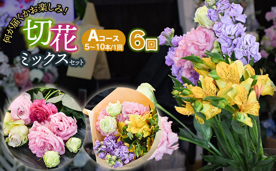 
            何が届くかお楽しみ★【6ヶ月定期便】鶴岡産切花ミックスセットAコース6回　花蔵（HANAZO）　K-733
          