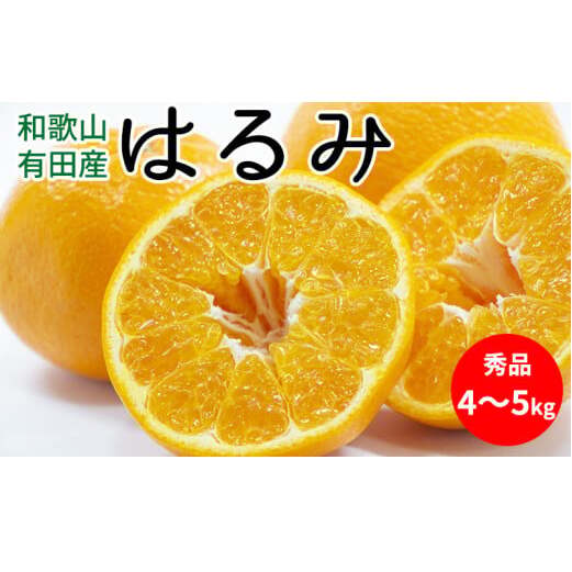 【2027年先行予約】はるみ 秀品 約4～5kg 和歌山県有田産_U6308