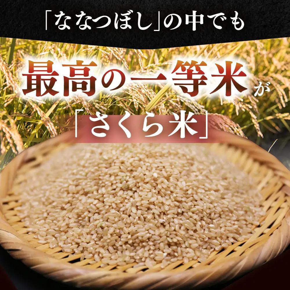 【全2回定期便】【玄米】ななつぼし さくら米 10kg  特A 北海道[AXAB079]