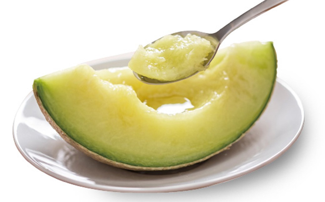 【5ヶ月定期便】訳あり静岡県産アローマメロン 1玉（1玉 約1.0kg以上）