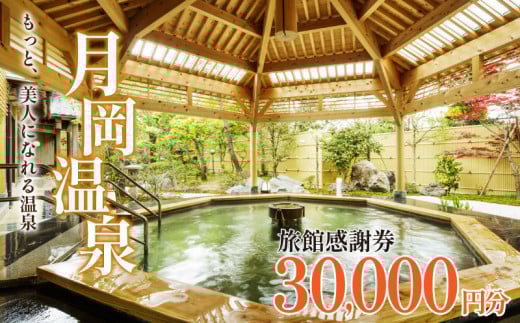 月岡温泉旅館感謝券(30,000円分) 【 新潟 北陸 温泉 旅行 感謝券 旅行券 宿泊券 利用券 宿泊 ゴルフ A01_10 】