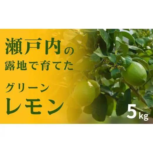 【 先行予約 】 瀬戸内の露地 グリーンレモン 約5kg 【 2026年10月末～11月下旬発送 】 皮まで丸ごと食べられる