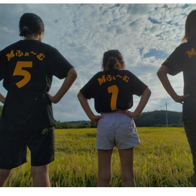 ふるさと納税 岩手町 令和7年産岩手町産のいわてっこ 精米　5キロ |  | 01