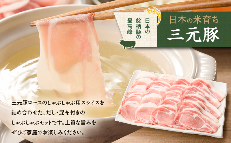 日本の米育ち平田牧場 三元豚ロースしゃぶしゃぶ 300g×3パック（計900g）　T036-008