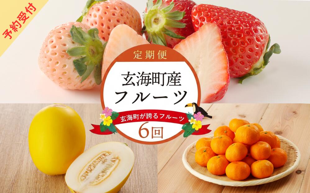 【定期便6回】旬のフルーツ定期便 ／ いちご キンショウメロン ハウスみかん 温室みかん イチゴ 苺 さがほのか 淡雪 真紅の美鈴 白いちご 黒いちご 果物 定期便 セット 冷蔵 佐賀県 玄海町