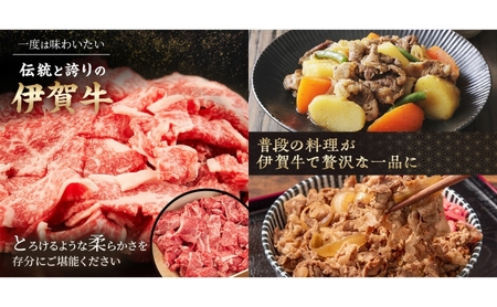 伊賀牛 定期便 6ヶ月 切落し ヒレ ステーキ 伊賀牛
