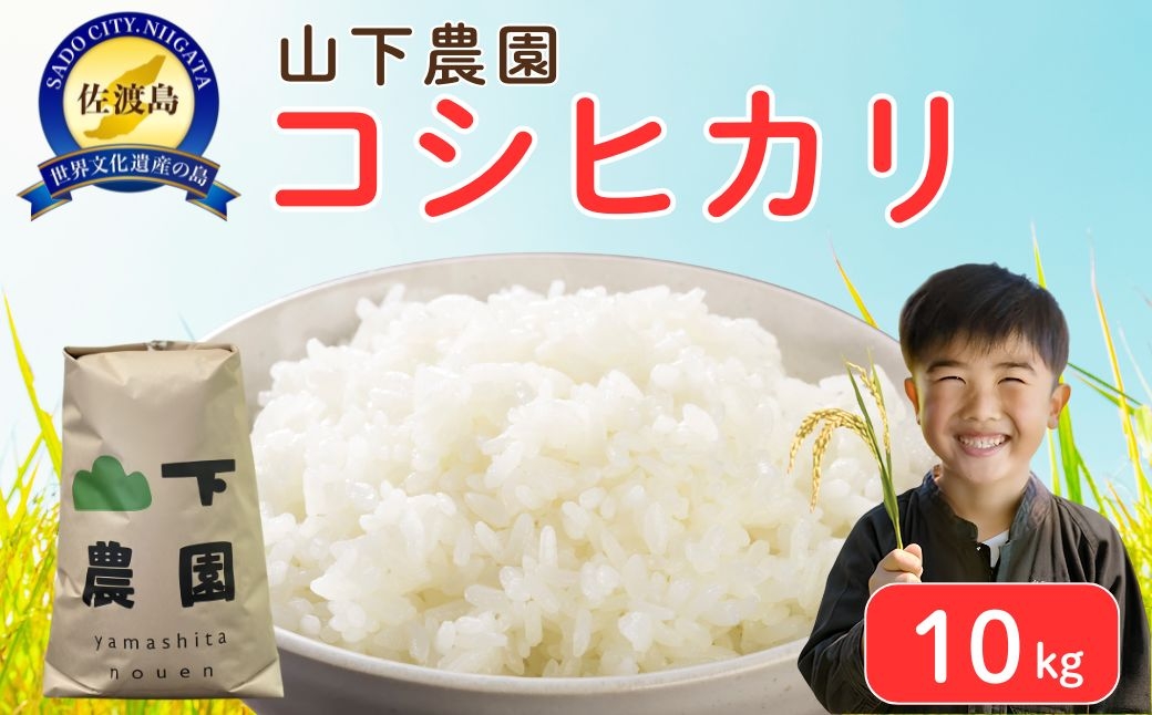 
                  山下農園 令和7年産 佐渡産コシヒカリ10kg
                
