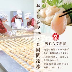 隔月2回定期便 北海道 野付産 ホタテ 特大ホタテ500g 野付 貝柱