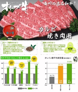 黒毛和牛オリーブ牛 カルビ焼肉用 約500ｇ×3_M18-0027