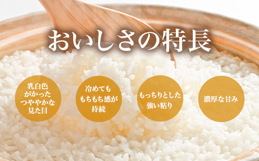 741 茨城県産 ミルキークイーン 10kg (5kg×2袋) 令和7年産 精米【米農家もろちゃん】