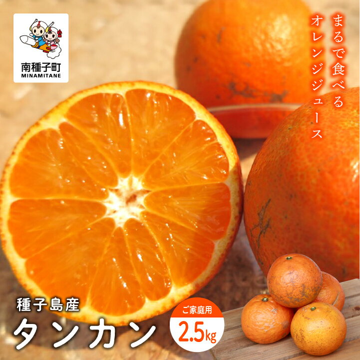 【ふるさと納税】 《 先行予約 》《 2026年2月中旬〜3月中旬頃順次発送 》 種子島産タンカン 約 2.5kg 家庭用 タンカン たんかん オレンジ 果物 フルーツ 食品 グルメ お取り寄せ お正月 人気 おすすめ ギフト 返礼品 南種子町 鹿児島 かごしま 【南種子町果樹部会】