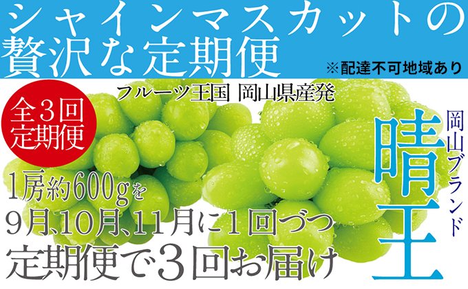 ぶどう 2024年 9月・10月・11月発送 シャイン マスカット 晴王 1房 約600g ブドウ 葡萄 岡山県産 国産 フルーツ 果物 ギフト