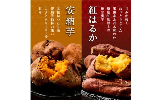 a0001-BA2 冷凍焼き芋！畑の金貨・やきいもセット(紅はるか1kg・安納芋1kg)計2kg【甘いも販売所】姶良市 焼き芋 訳あり やきいも スイーツ さつまいも 熟成