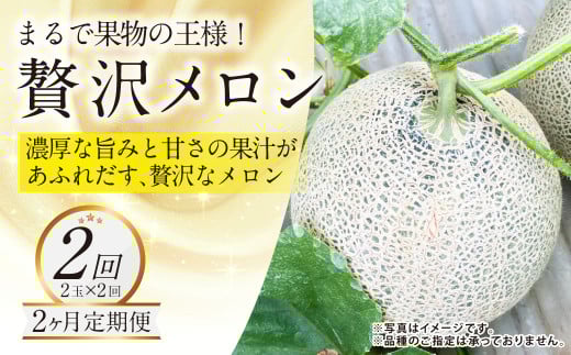 【年2回定期便】『まるで果物の王様！贅沢メロン』 2玉セット×2回 合計4玉 2色楽しめる特別な定期便 熊本県産 フルーツ くだもの 果物 メロン 果実 果肉 おやつ 国産