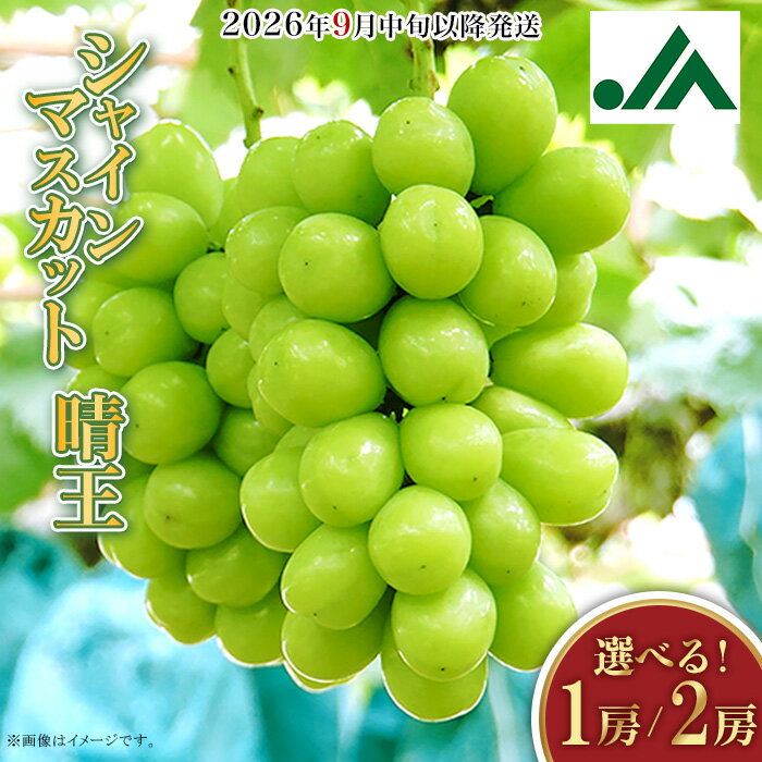 2023年発送 岡山県産シャインマスカット晴王 1.3kg以上(2房) 糖度18度以上