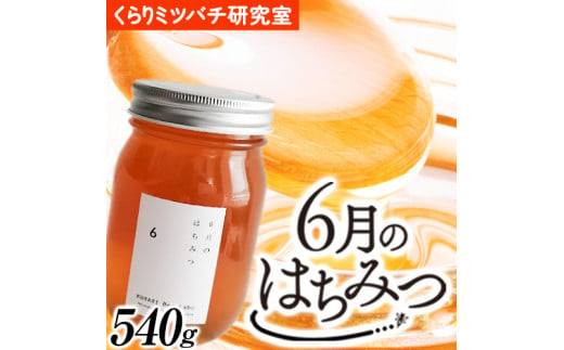 6月のはちみつ 540g KURARI くらりミツバチ研究室《90日以内に出荷予定(土日祝除く)》和歌山県 紀の川市 蜂蜜 ハチミツ 非加熱 純正生はちみつ トースト ヨーグルト