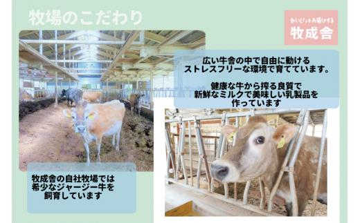 【定期便3か月】飛騨産生乳100％！美味しい低温殺菌牛乳6本×3回 毎月1回お届け 乳製品 牛乳 牧成舎 DF105