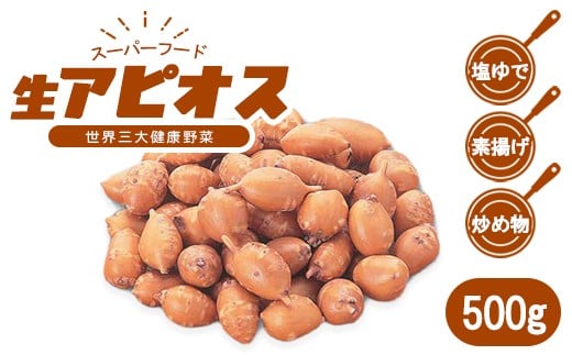 生アピオス　500g　【02402-0483】
