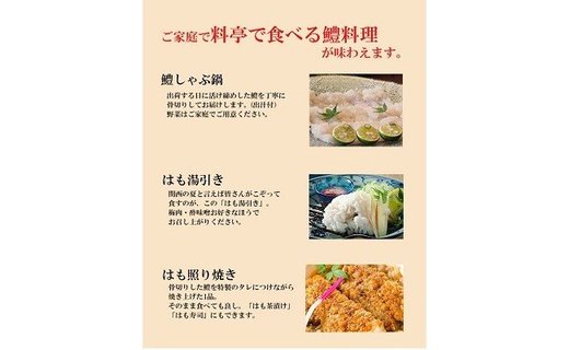 38 鱧を味わい尽くす！鱧づくしセット4人前(A38-1)