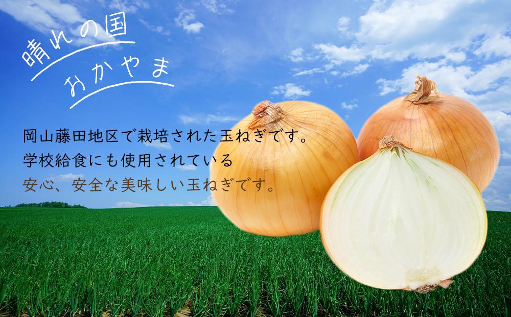 岡山市産 玉ねぎ 約10kg 野菜 たまねぎ タマネギ オニオン[No.5220-1502]