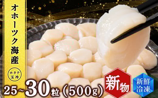 ホタテ 北海道産 冷凍 貝柱 500ｇ(250g×2個セット)【頓別漁業協同組合】 刺身 玉冷 むき身 オホーツク海産 小分け ギフト ほたて 帆立