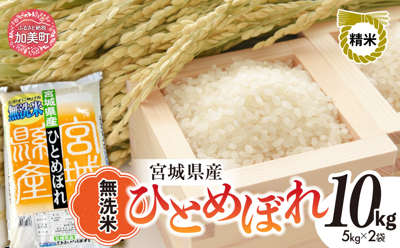 新米 無洗米 令和6年度産 宮城 ひとめぼれ 10kg [菅原精米工業 宮城県 加美町 ] ｜ sw00004-r6-10kg