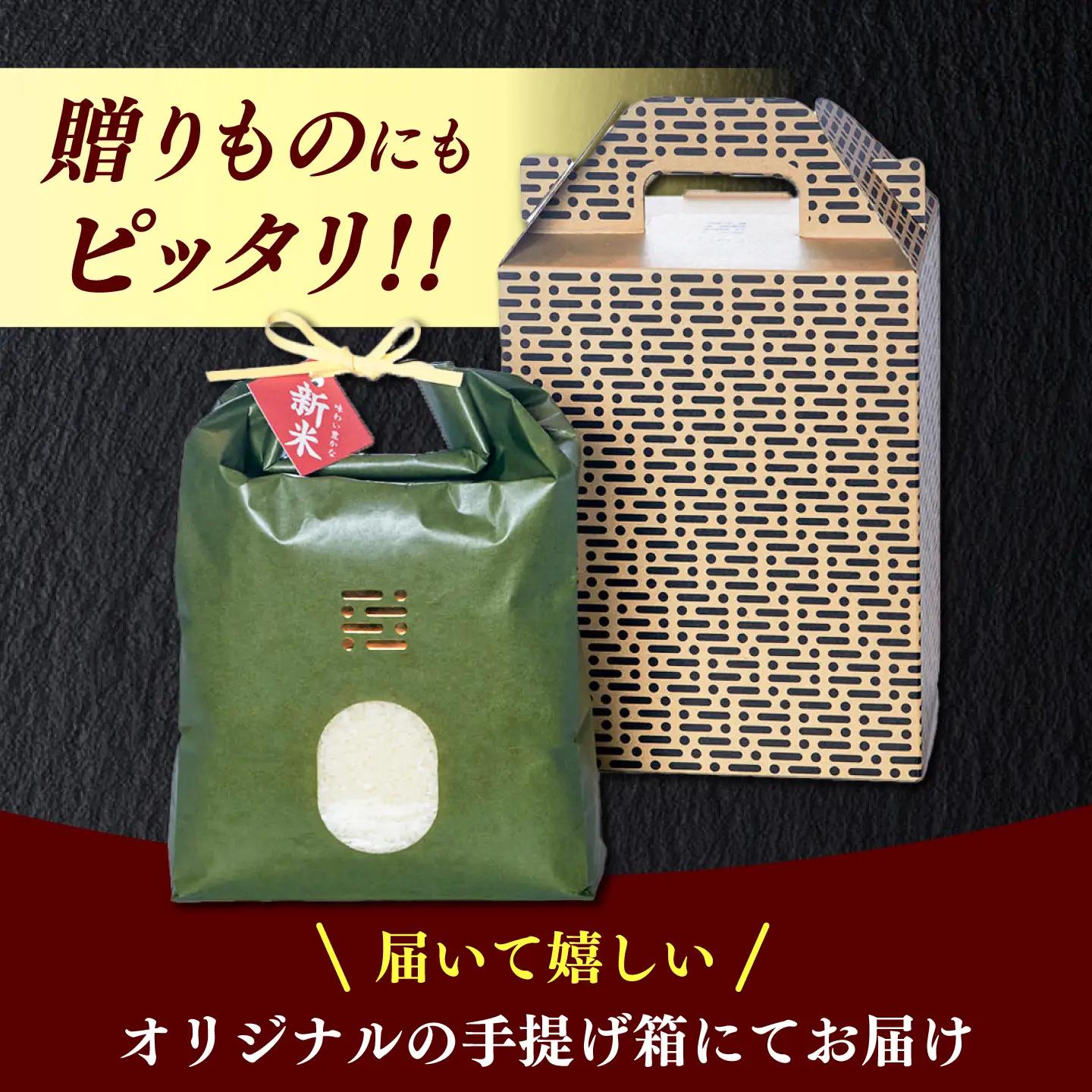 【全12回定期便】とくべつの中のとくべつ  特別栽培米  夢つくし 5kg【築上町】 / itoshimacco / 株式会社やました[ABEX008]