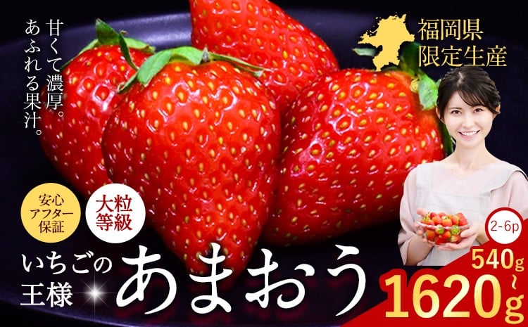 
            ★2026年出荷分★【先行予約】いちご あまおう 選べる内容量 540g 1080g1620g 苺 送料無料 【着日指定不可】《2月中旬-4月末頃出荷予定》 イチゴ 果物 フルーツ 福岡県 鞍手郡 小竹町
          