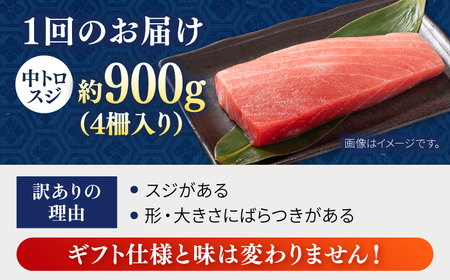 【全6回定期便】【訳あり】天然 本まぐろ 中トロ 計約900g (4柵入り) 鮪 マグロ 魚 刺身 横須賀【横須賀商工会議所 おもてなしギフト事務局（本まぐろ直売所 横須賀本店）】 [AKAK069]