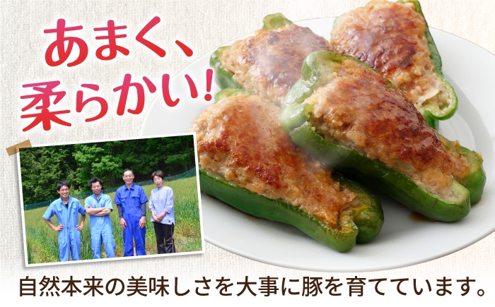 岐阜県産 豚肉 豚 ミンチ ひき肉 挽き肉 豚ミンチ 豚ひき肉 豚挽き肉 あんしん豚 国産 豚肉 ミンチ 