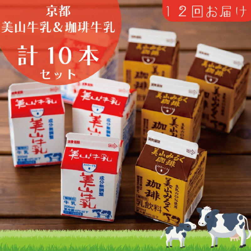 【ふるさと納税】牛乳 定期便 12ヶ月 京都 美山牛乳 200ml ×5本 珈琲牛乳 ×5本 詰め合わせ セット 美山町 お取り寄せ コーヒー牛乳 パック 紙パック 200mL 定期 お楽しみ 12回 ※北海道・沖縄・離島への発送不可　定期便・ 南丹市
