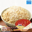 【ふるさと納税】 定期便3ヶ月 玄米ごはん120g×48個 パックごはん パックご飯 ご飯パック パック米 パックライス レトルトご飯 防災 金のいぶきプレミアム玄米ごはん 120g 金のいぶきプレミアム 金のいぶき 玄米ごはん 玄米 大阪府 松原市