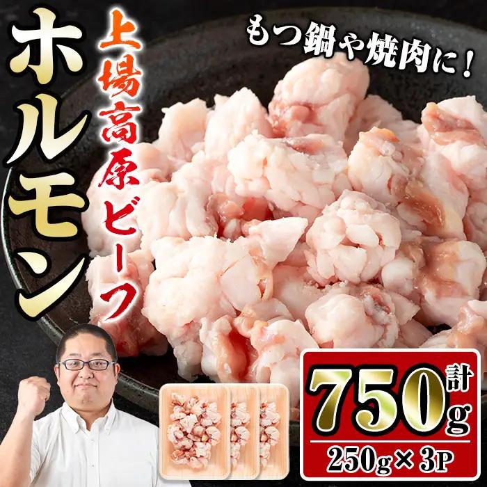 上場高原ビーフ 小腸 ホルモン 750g 【スーパーよしだ】 i1156