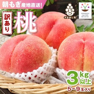 【訳あり品】ご家庭桃・朝もぎ産地直送・3kg以上【配送不可地域：離島】【1178167】