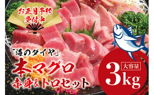 本マグロ（養殖）トロ＆赤身セット 3kg 【お正月予約 12月26日～30日発送】高級 クロマグロ 中トロ 中とろ まぐろ マグロ 鮪 刺身 赤身 柵 じゃばらまぐろ 本マグロ 本鮪 年内配送 年内発送 お正月 正月【nks112B-sg】