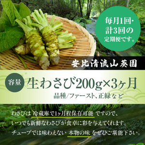 岩手県産 生わさび 200g 定期便3ヶ月【安比清流山葵園】 ／ 山葵 ワサビ わさび 薬味 国産 八幡平市産 産地直送 新鮮 調味料 お肉 蕎麦 和え物 漬け物 刻み おろし 辛味 お寿司 そば 