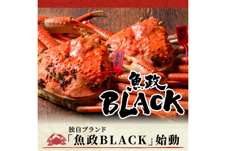 【蟹の匠 魚政】茹で　プレミアムズワイガニ 魚政BLACK（松葉ガニ・越前ガニ）訳あり 900g級 2匹セット(11月～12月発送)