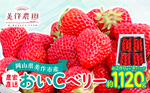 【2025年4月発送開始】岡山県美作市産　おいCベリー(約280g×4パック)【配送不可地域：離島・北海道・沖縄県】