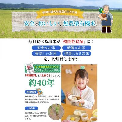 ふるさと納税 三条市 特別栽培米 ミルキークイーン 白米 10kg 新潟県産 【018S019】 |  | 01