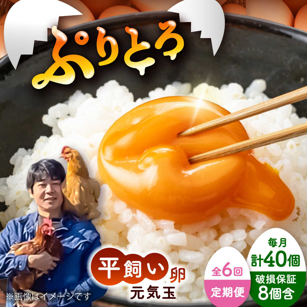 【ふるさと納税】【全6回定期便】平飼い新鮮たまご 元気玉 計40個(10個×4パック) / 卵 ぷりぷり 新鮮 平飼い 自然飼育 コク 甘み 玉子 オムレツ たまごかけごはん 朝食 朝ごはん 鶏卵 平飼い 濃厚 こく 熊本県 菊陽町【ぴよっこファーム】[BHAP007]